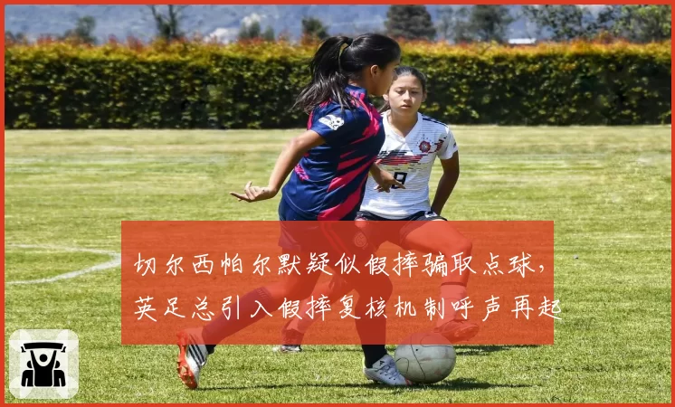 切尔西帕尔默疑似假摔骗取点球，英足总引入假摔复核机制呼声再起
